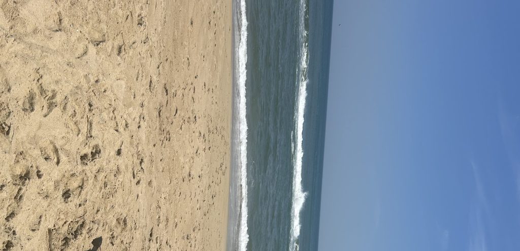 Quicksand: Fear, Despair, and&nbsp;Fight.