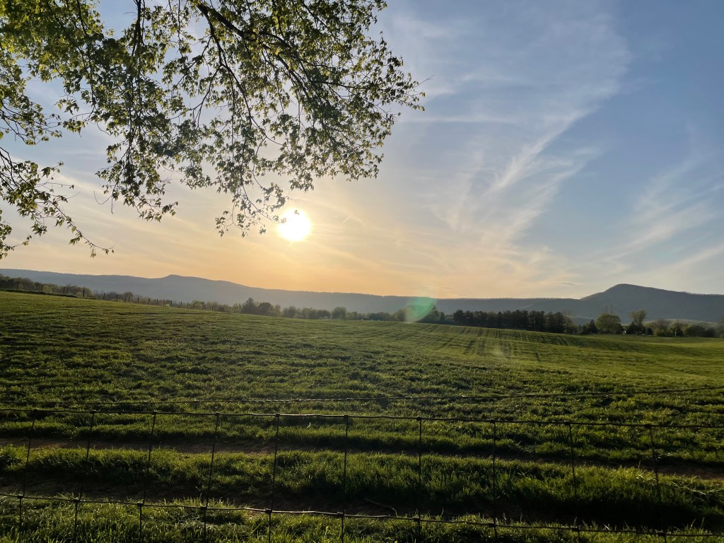 My Bitter Mother Day: May&nbsp;2022